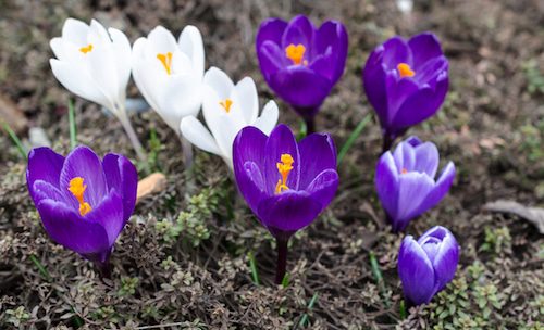 6 Glamorous Reasons To Paint Your House Interior in Spring