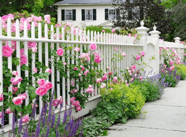 Exterior painting Fitzroy – house facade and fence repainted by Newline Painting